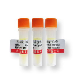 北京芯詣 產(chǎn)品價格解析與市場定位探析（第5頁）